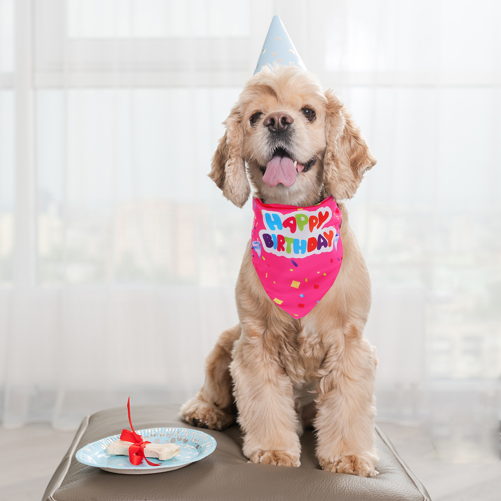 2 buah bandana anjing untuk ul - Printed Bibs Pack ulasan dan harga